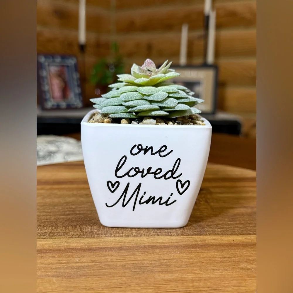 One Loved Mimi Faux Succulent